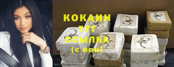 индика Бугульма