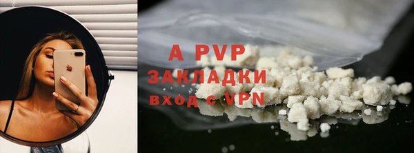спиды Бородино