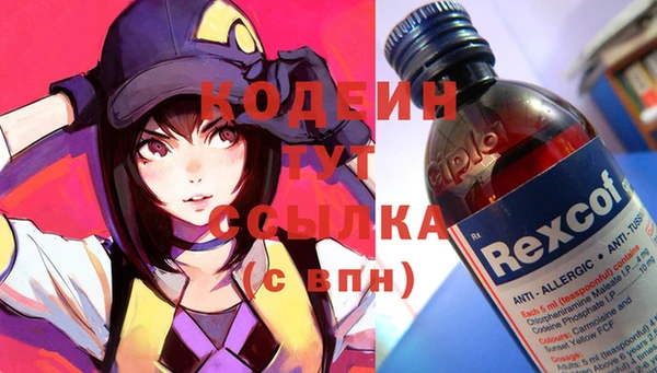 индика Бугульма