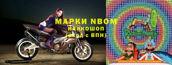 индика Бугульма