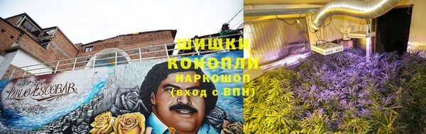 спиды Бородино