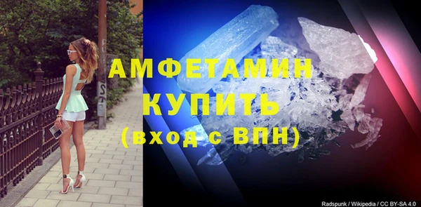 индика Бугульма
