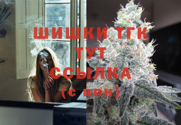 индика Бугульма