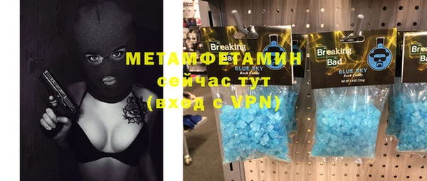индика Бугульма