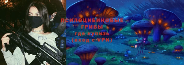 индика Бугульма
