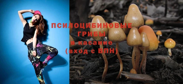 спиды Бородино