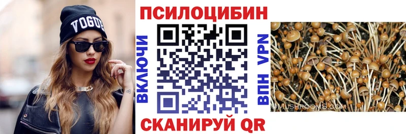магазин продажи наркотиков  гидра как войти  Галлюциногенные грибы Psilocybine cubensis  Минеральные Воды 