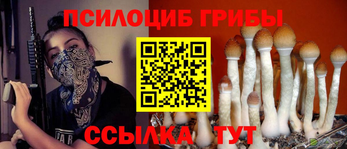 Псилоцибиновые грибы Psilocybine cubensis Минеральные Воды